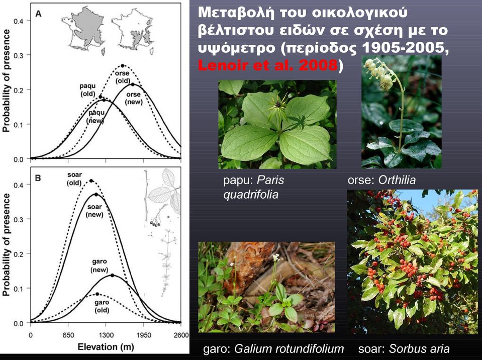 2008) papu: Paris quadrifolia orse: Orthilia