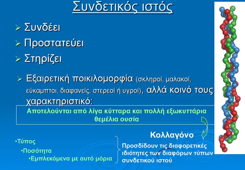 Αποτελούνται από λίγα κύτταρα και πολλή εξωκυττάρια θεμέλια ουσία Τύπος Ποσότητα