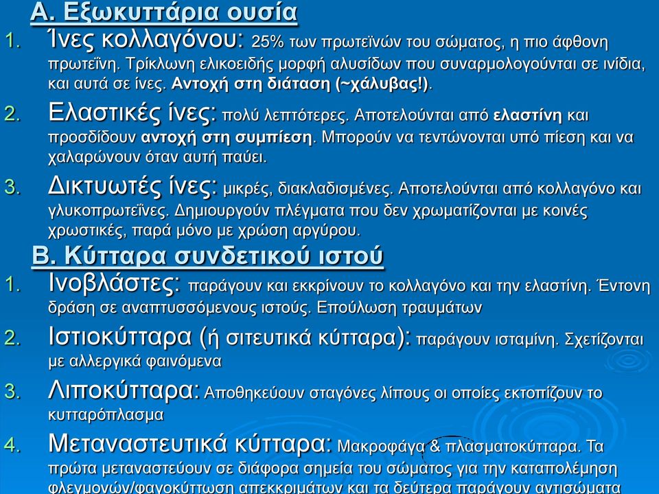 Τα πρώτα μεταναστεύουν σε διάφορα σημεία του σώματος για την καταπολέμηση φλεγμονών/φαγοκύττωση απεκκριμάτων και τα δεύτερα παράγουν αντισώματα 2. Ελαστικές ίνες: πολύ λεπτότερες.