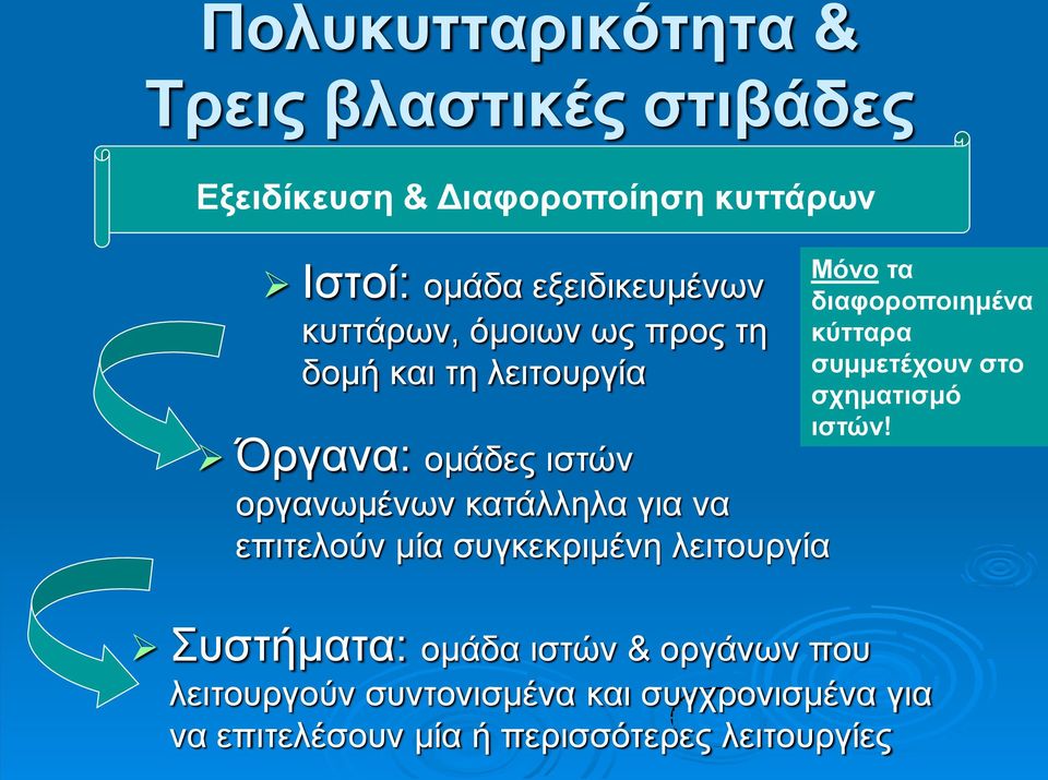 μία συγκεκριμένη λειτουργία Μόνο τα διαφοροποιημένα κύτταρα συμμετέχουν στο σχηματισμό ιστών!