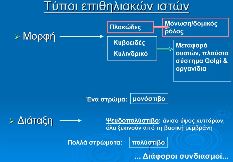 Ένα στρώμα: μονόστιβο Διάταξη Ψευδοπολύστιβο: άνισο ύψος κυττάρων, όλα