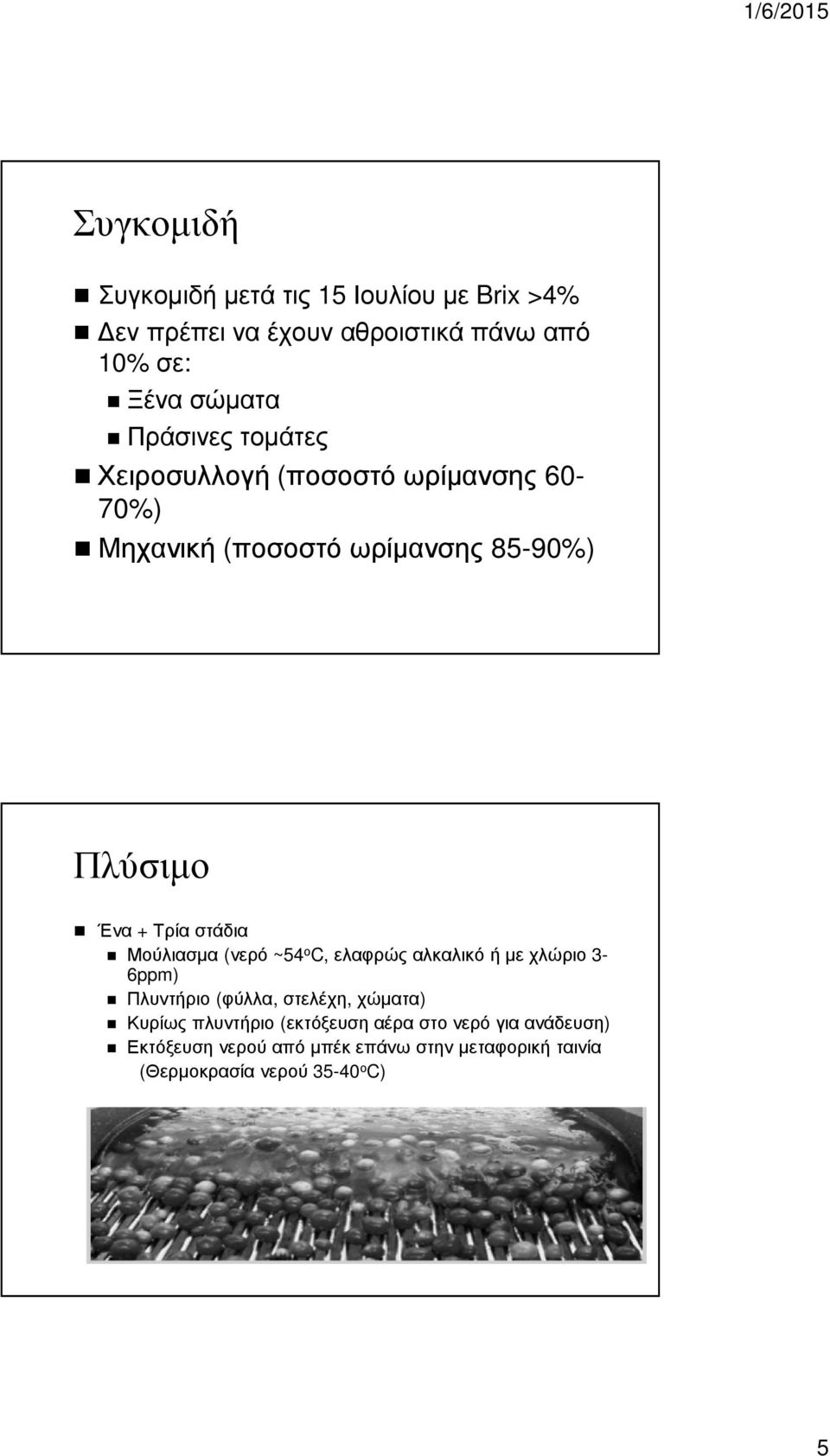 στάδια Μούλιασµα (νερό ~54 ο C, ελαφρώς αλκαλικό ή µε χλώριο 3-6ppm) Πλυντήριο (φύλλα, στελέχη, χώµατα) Κυρίως