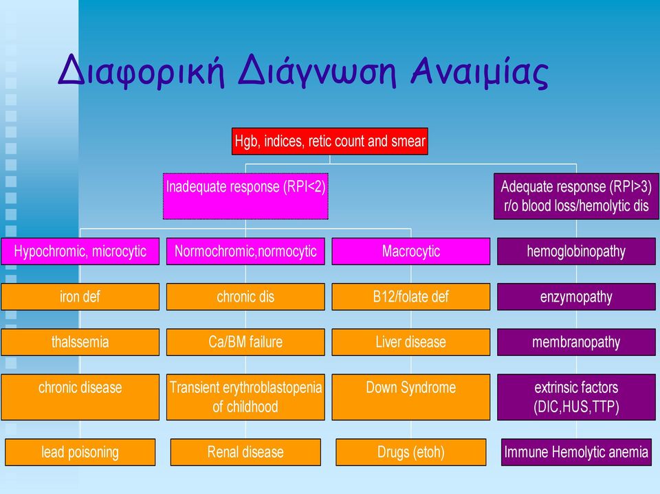 B12/folate def enzymopathy thalssemia Ca/BM failure Liver disease membranopathy chronic disease Transient