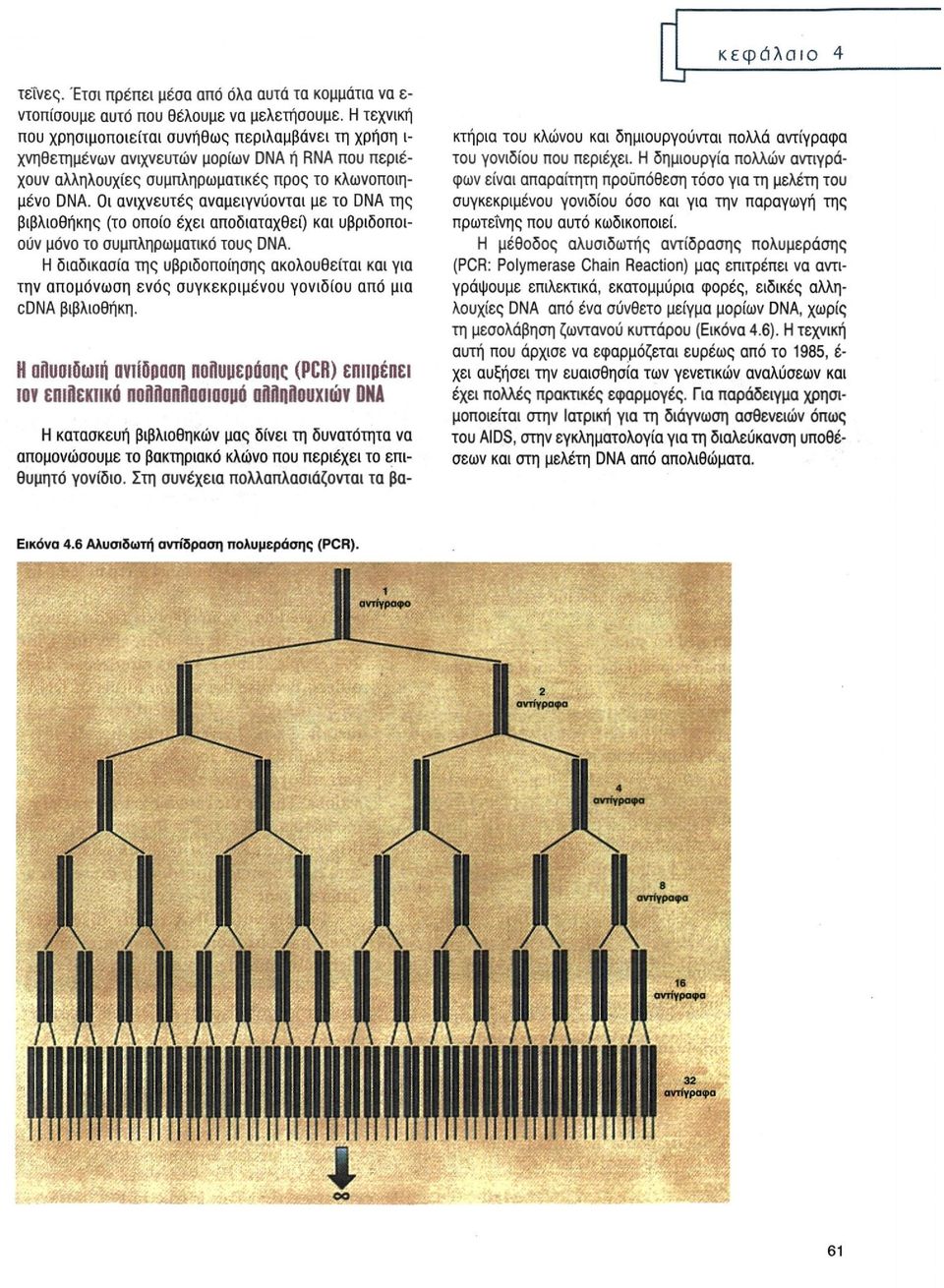 το κλωνοποιημένο DNA. Οι ανιχνευτές αναμειγνύονται με το DNA της βιβλιοθήκης (το οποίο έχει αποδιαταχθεί) και υβριδοποιούν μόνο το συμπληρωματικό τους DNA.