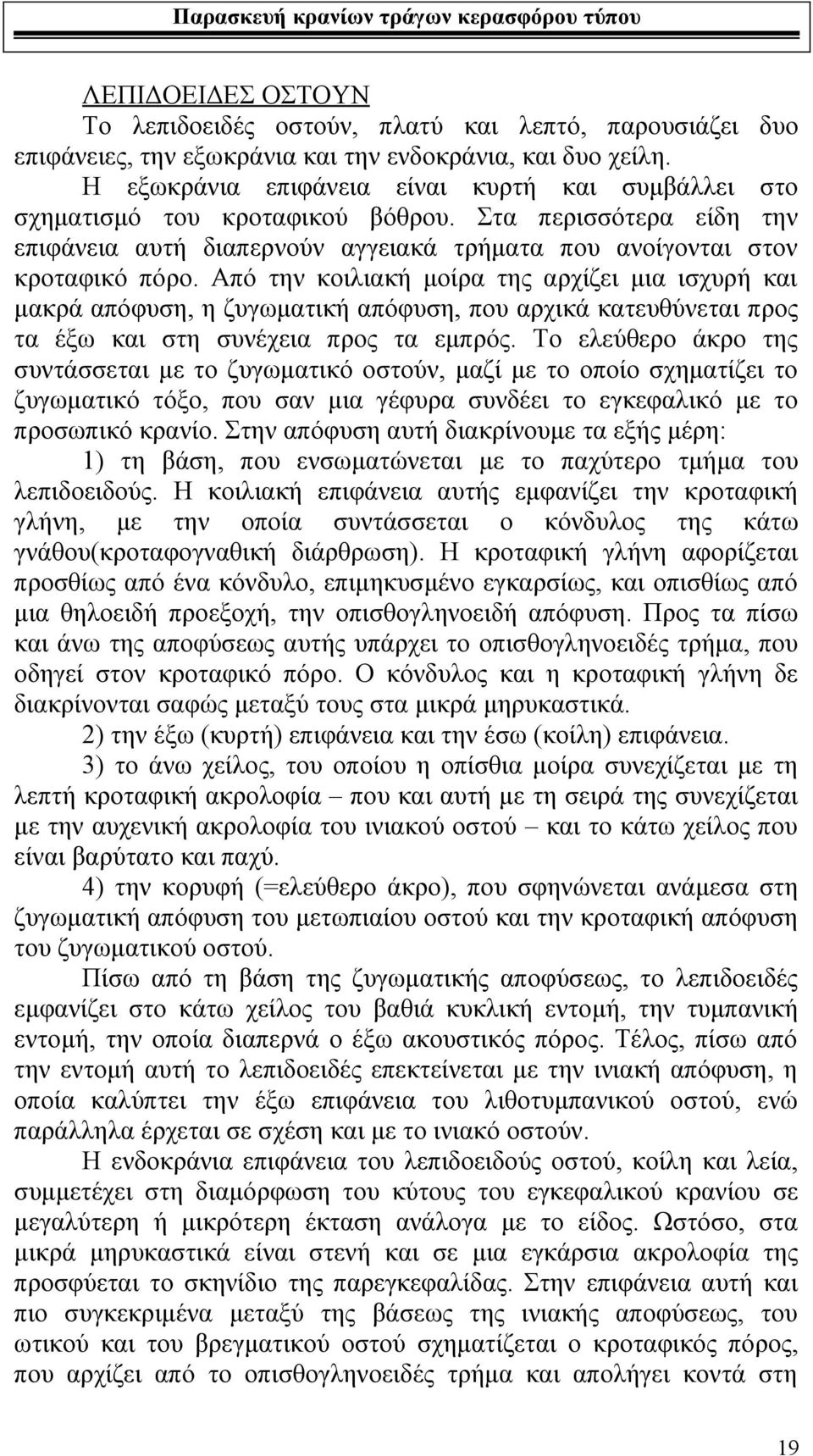 Από την κοιλιακή μοίρα της αρχίζει μια ισχυρή και μακρά απόφυση, η ζυγωματική απόφυση, που αρχικά κατευθύνεται προς τα έξω και στη συνέχεια προς τα εμπρός.