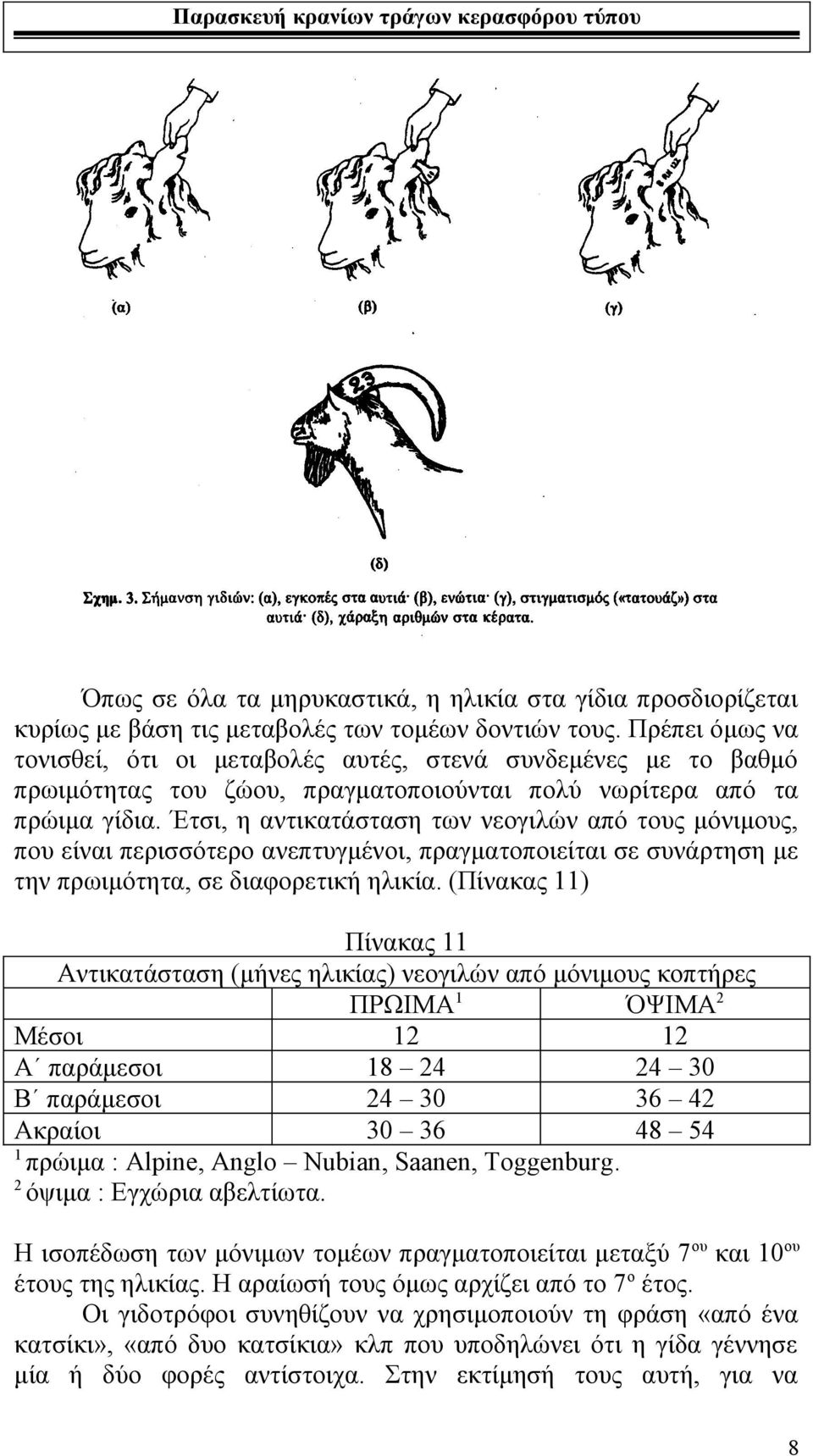 Έτσι, η αντικατάσταση των νεογιλών από τους μόνιμους, που είναι περισσότερο ανεπτυγμένοι, πραγματοποιείται σε συνάρτηση με την πρωιμότητα, σε διαφορετική ηλικία.