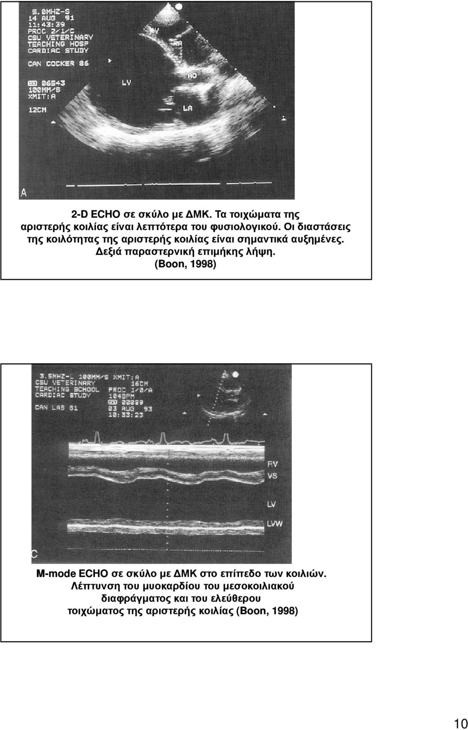 εξιά παραστερνική επιµήκης λήψη. (Boon, 1998) M-mode ECHO σε σκύλο µε ΜΚ στο επίπεδο των κοιλιών.