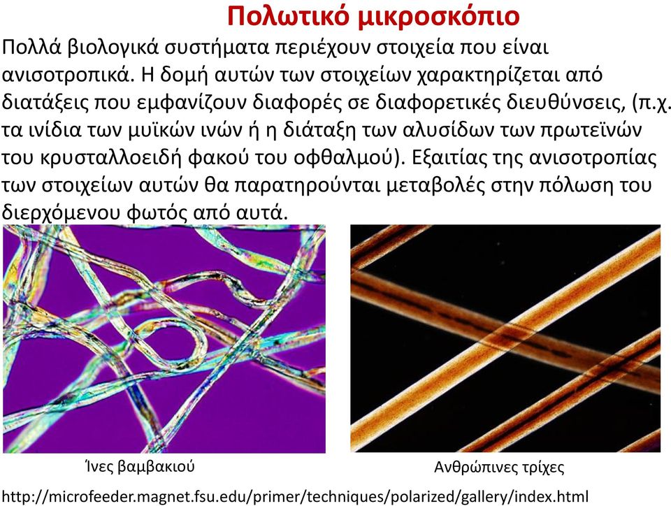 Εξαιτίας της ανισοτροπίας των στοιχείων αυτών θα παρατηρούνται μεταβολές στην πόλωση του διερχόμενου φωτός από αυτά.