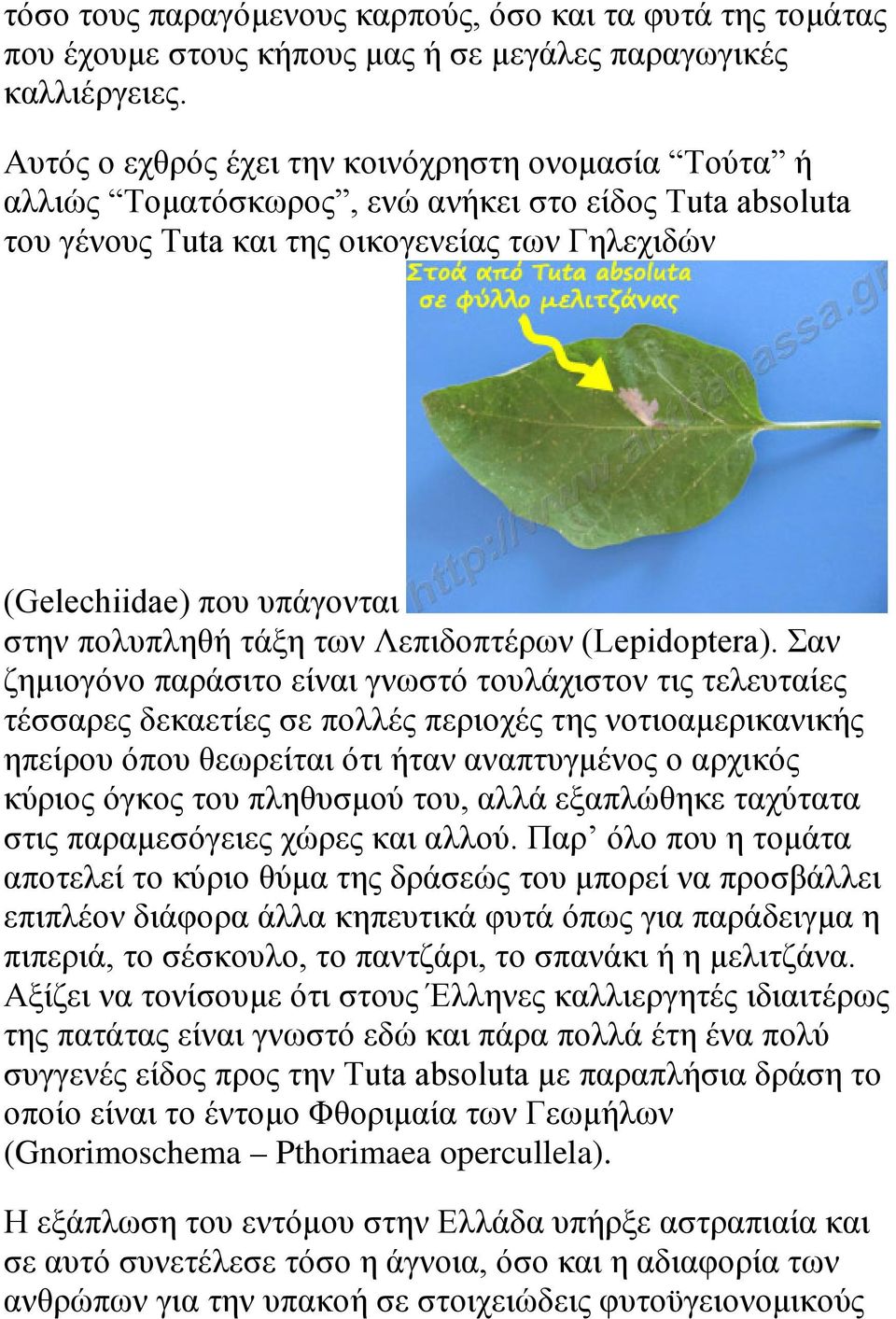 πολυπληθή τάξη των Λεπιδοπτέρων (Lepidoptera).