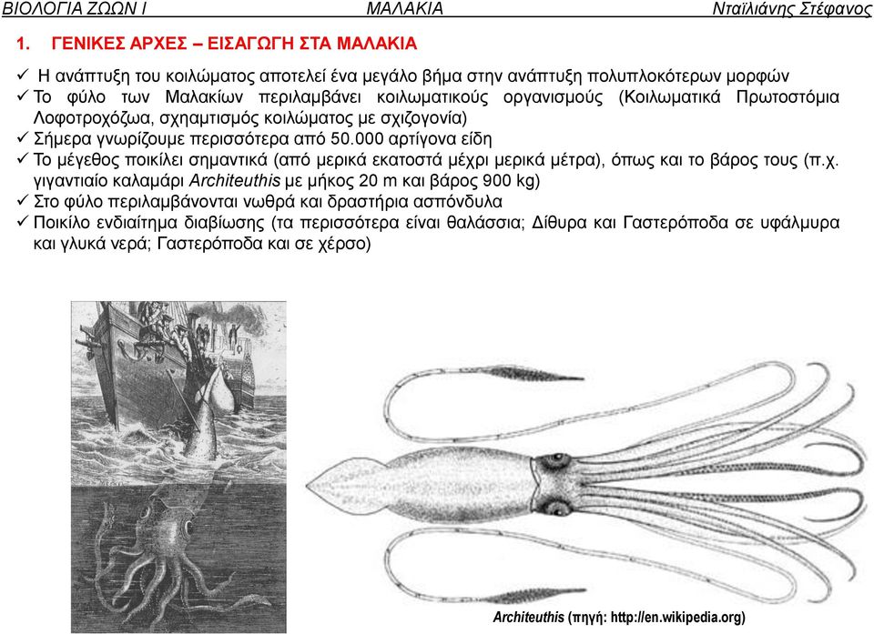 000 αρτίγονα είδη Το μέγεθος ποικίλει σημαντικά (από μερικά εκατοστά μέχρ