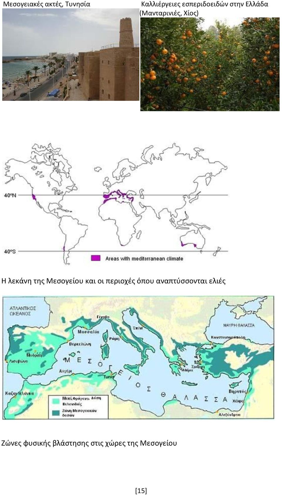 λεκάνη της Μεσογείου και οι περιοχές όπου