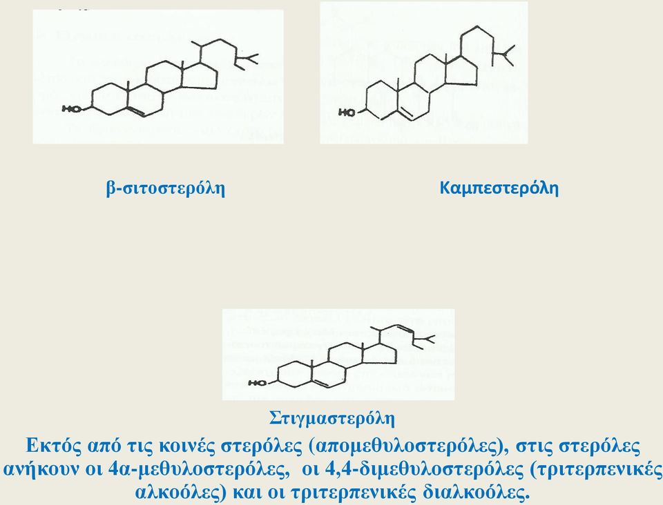 ανήκουν οι 4α-μεθυλοστερόλες, οι 4,4-διμεθυλοστερόλες