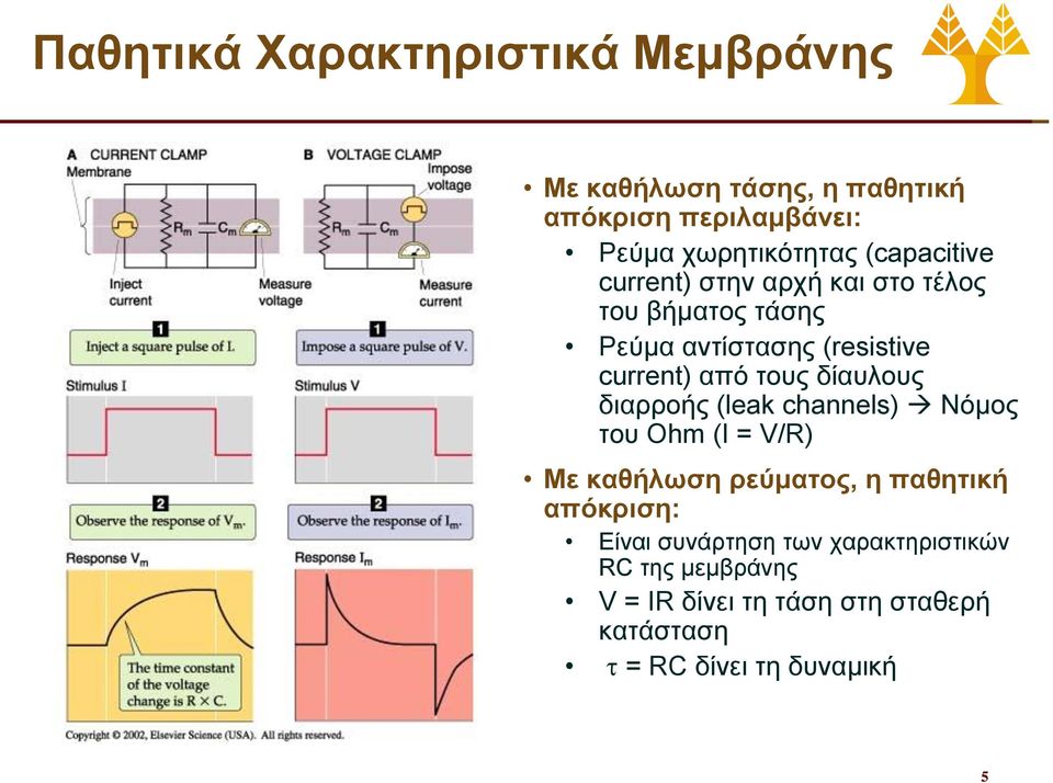 δίαυλους διαρροής (leak channels) Νόμος του Ohm (I = V/R) Με καθήλωση ρεύματος, η παθητική απόκριση: Είναι