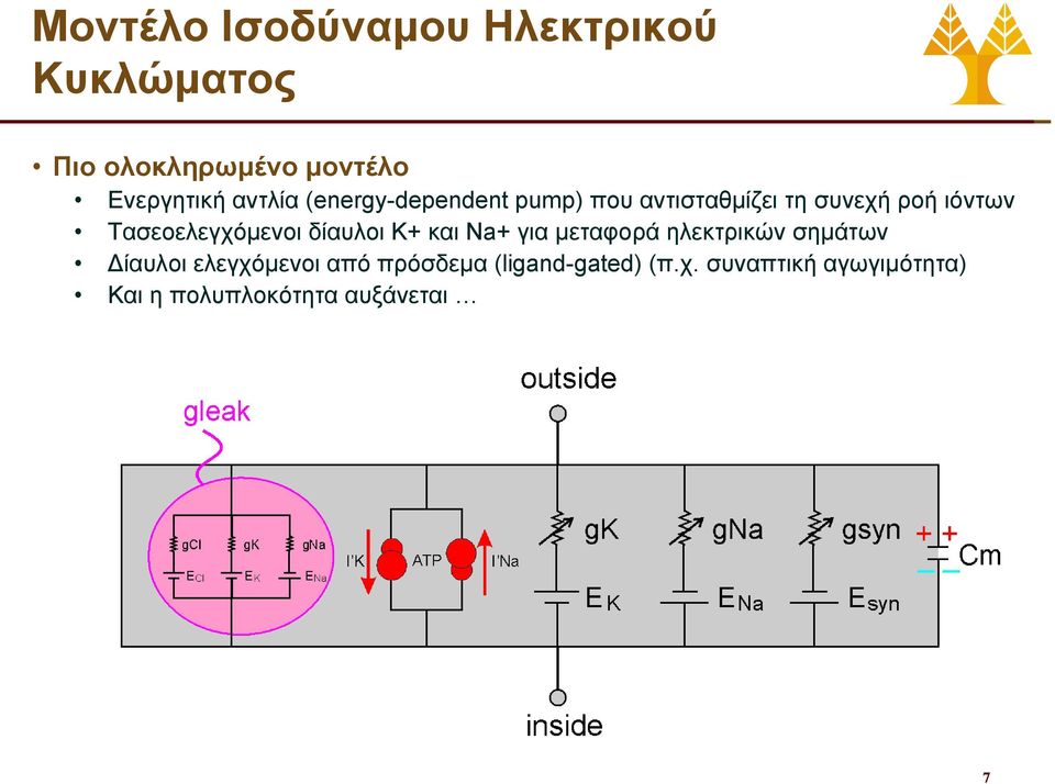 Τασεοελεγχόμενοι δίαυλοι K+ και Νa+ για μεταφορά ηλεκτρικών σημάτων Δίαυλοι