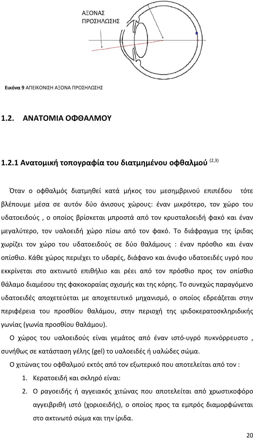 1 Ανατομική τοπογραφία του διατμημένου οφθαλμού (2,3) Όταν ο οφθαλμός διατμηθεί κατά μήκος του μεσημβρινού επιπέδου τότε βλέπουμε μέσα σε αυτόν δύο άνισους χώρους: έναν μικρότερο, τον χώρο του