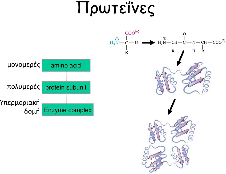 protein subunit