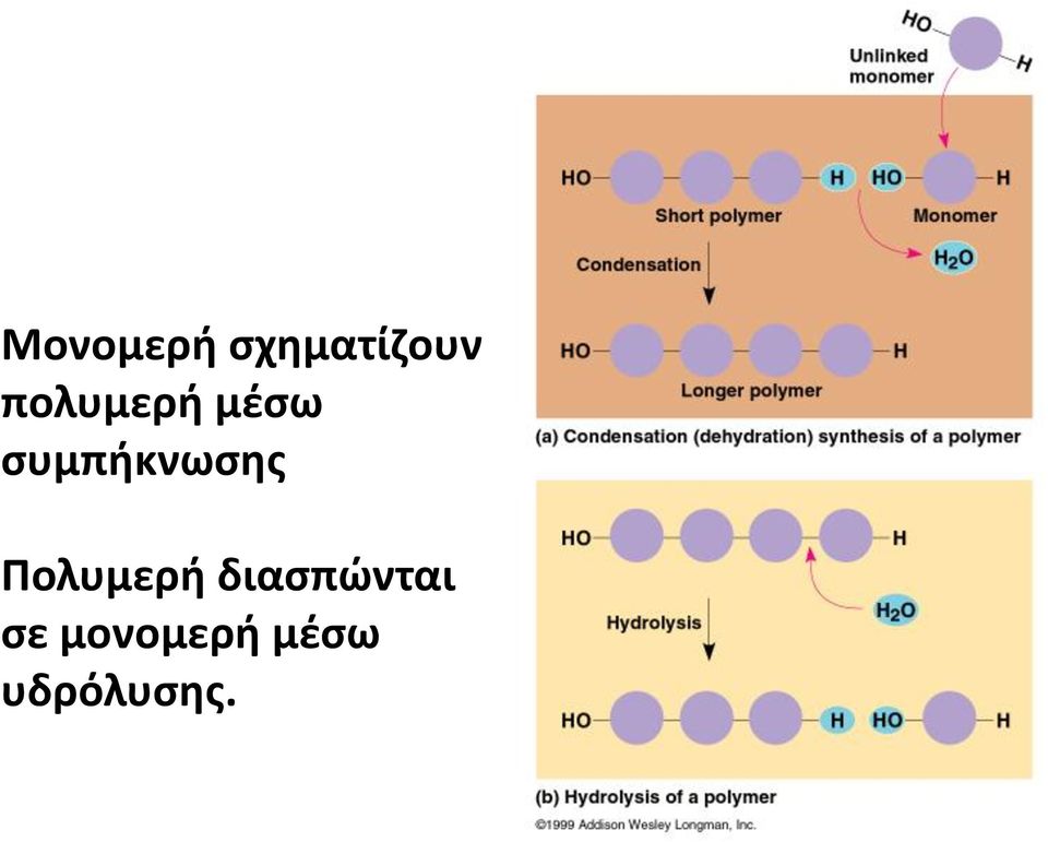 συμπήκνωσης Πολυμερή