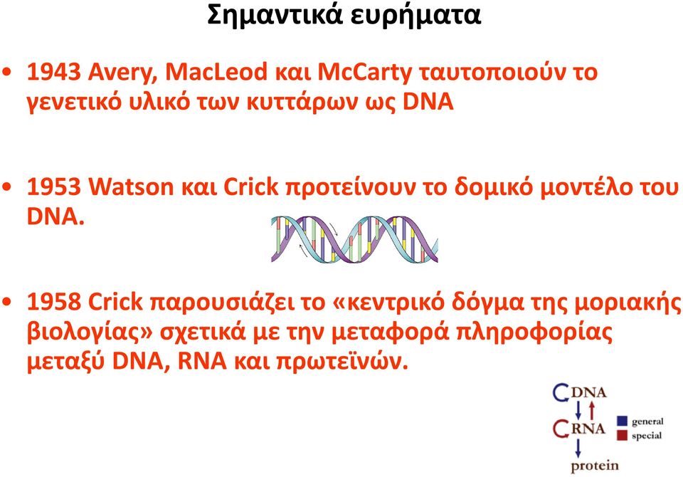 δομικό μοντέλο του DNA.