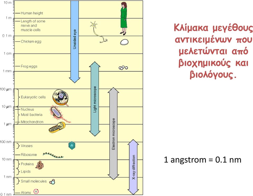 μελετώνται από