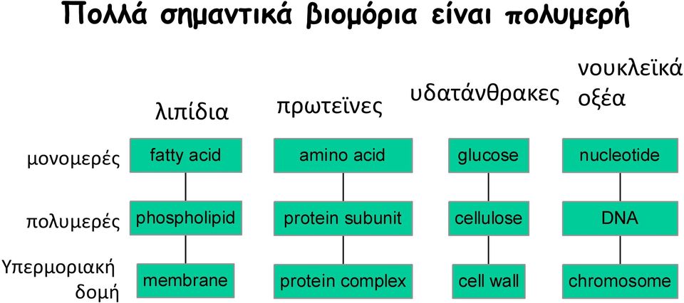 glucose nucleotide πολυμερές phospholipid protein subunit