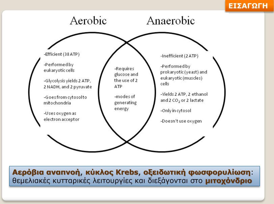 θεμελιακές κυτταρικές