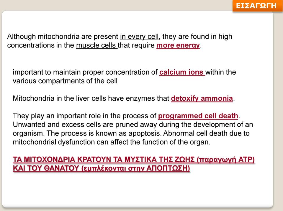 They play an important role in the process of programmed cell death. Unwanted and excess cells are pruned away during the development of an organism.