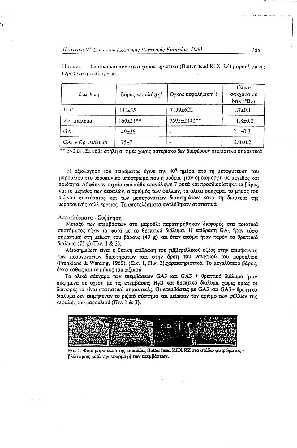 Σε K'aöc στηλη οι τιμές χωρίς αστερίσκο δεν* διαφέρουν στατιστικά σημαντικά Η αξιολόγηση του πειράματος έγινε την 40π ημέρα από τη μεταφύτευση του μαρουλιού στο υδροπονικό υπόστρωμα που η σοδειά ήταν