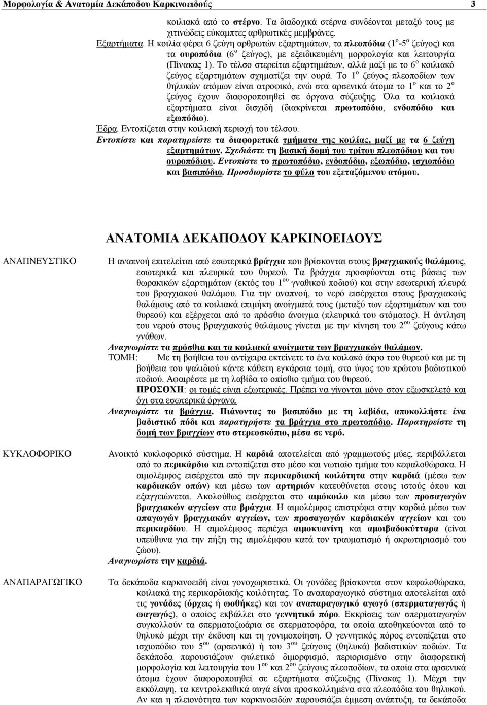 Τ τέλσ στερείται εξαρτημάτων, αλλά μαζί με τ 6 κιλιακό ζεύγς εξαρτημάτων σχηματίζει την υρά.