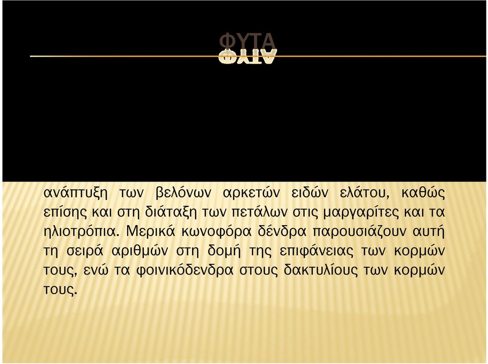 Εµφανίζεται επίσης στην ανάπτυξη των βελόνων αρκετών ειδών ελάτου, καθώς επίσης και στη διάταξη των πετάλων στις