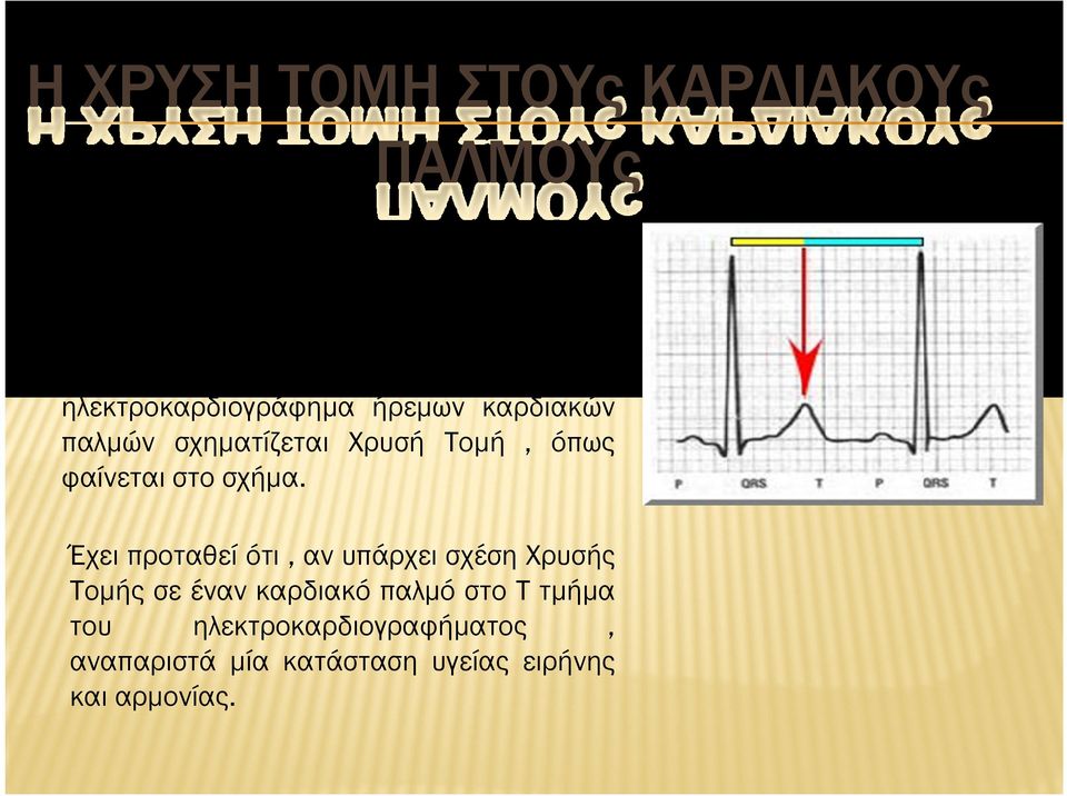 Έχει παρατηρηθεί, ότι σε ένα ηλεκτροκαρδιογράφηµα ήρεµων καρδιακών παλµών σχηµατίζεται Χρυσή Τοµή, όπως φαίνεται στο