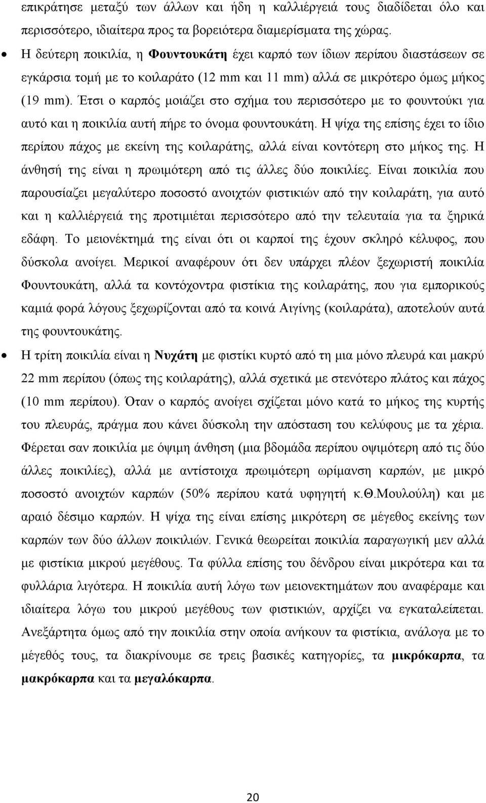 Έτσι ο καρπός µοιάζει στο σχήµα του περισσότερο µε το φουντούκι για αυτό και η ποικιλία αυτή πήρε το όνοµα φουντουκάτη.