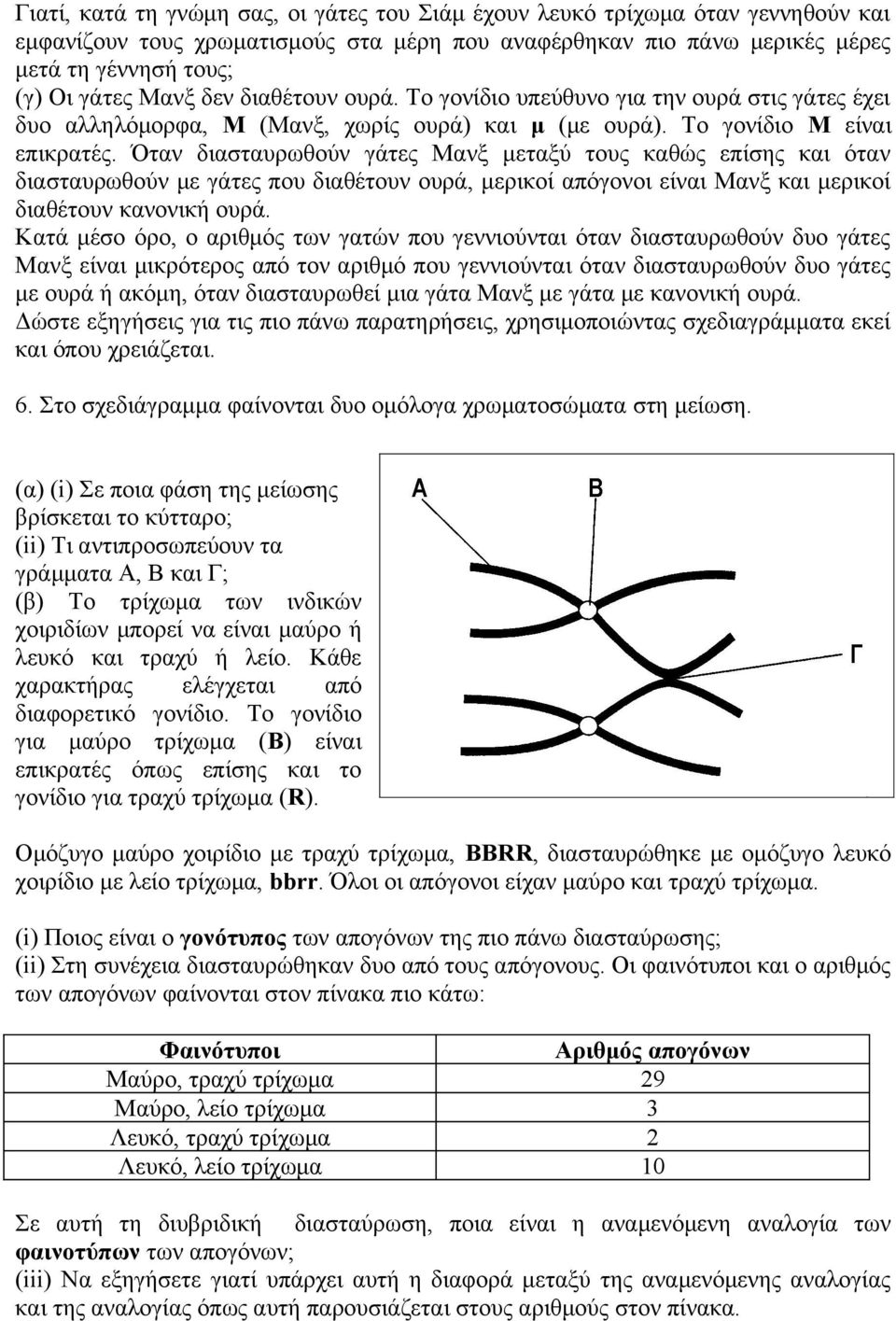 Όταν διασταυρωθούν γάτες Μανξ μεταξύ τους καθώς επίσης και όταν διασταυρωθούν με γάτες που διαθέτουν ουρά, μερικοί απόγονοι είναι Μανξ και μερικοί διαθέτουν κανονική ουρά.