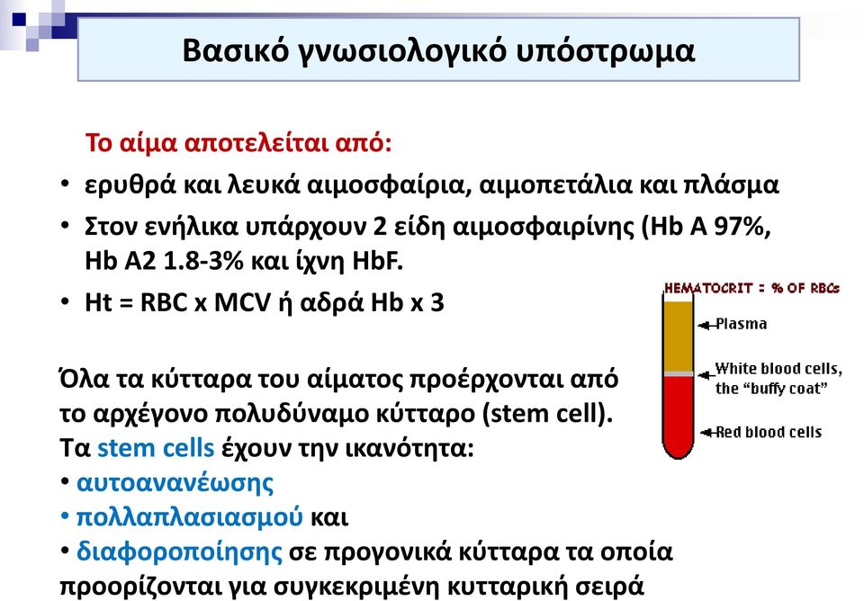 Ht = RBC x MCV ή αδρά Hb x 3 Όλα τα κύτταρα του αίματος προέρχονται από το αρχέγονο πολυδύναμο κύτταρο (stem cell).