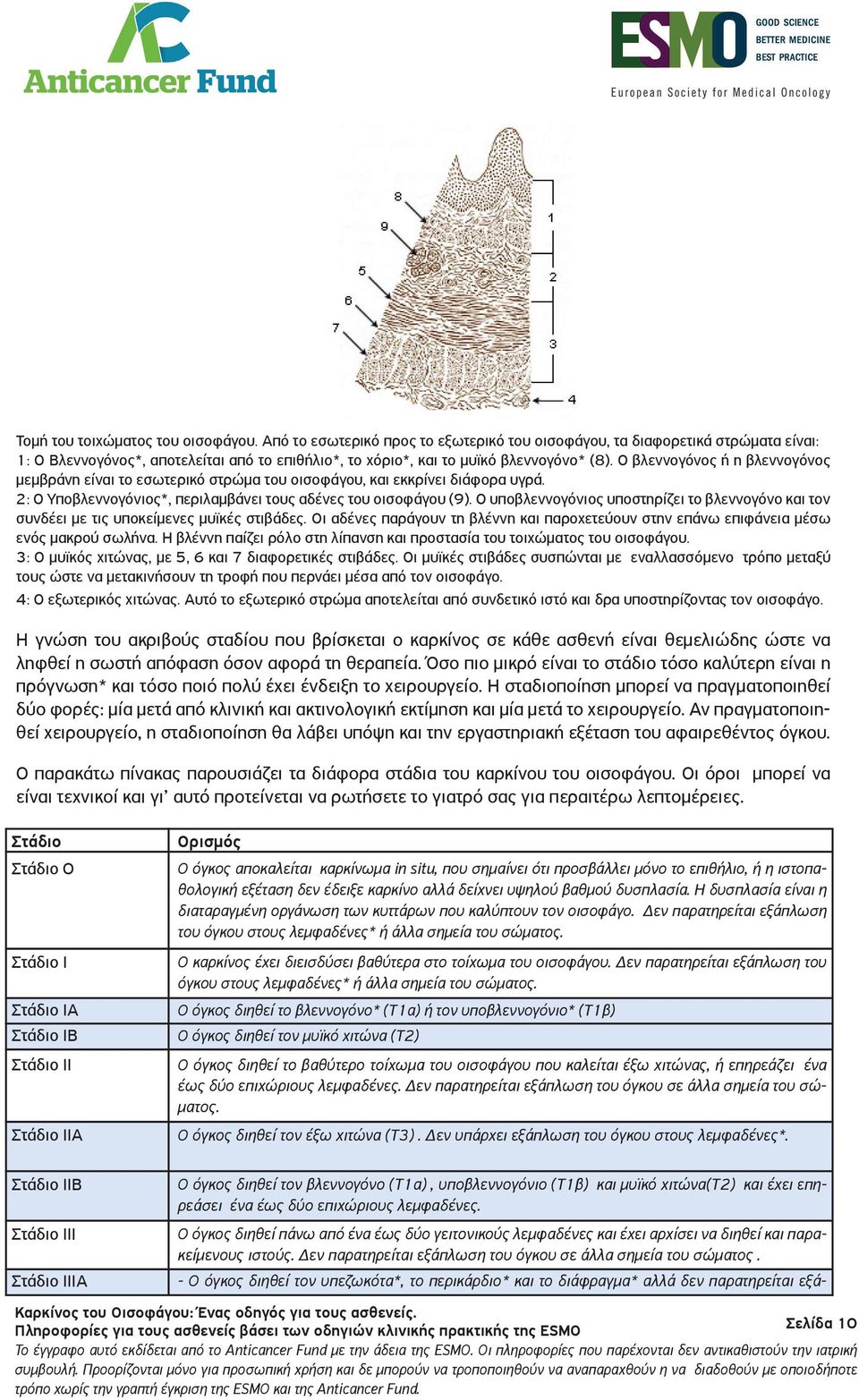 Ο βλεννογόνος ή η βλεννογόνος μεμβράνη είναι το εσωτερικό στρώμα του οισοφάγου, και εκκρίνει διάφορα υγρά. 2: Ο Υποβλεννογόνιος*, περιλαμβάνει τους αδένες του οισοφάγου (9).