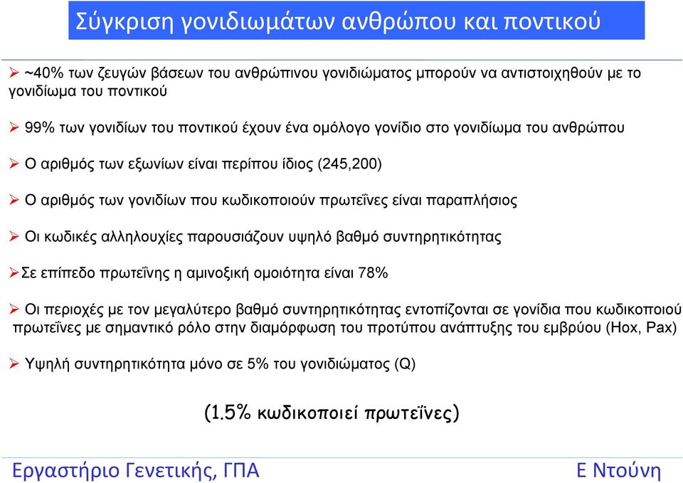 αλληλουχίες παρουσιάζουν υψηλό βαθμό συντηρητικότητας Σε επίπεδο πρωτεΐνης η αμινοξική ομοιότητα είναι 78% Οι περιοχές με τον μεγαλύτερο βαθμό συντηρητικότητας εντοπίζονται σε γονίδια