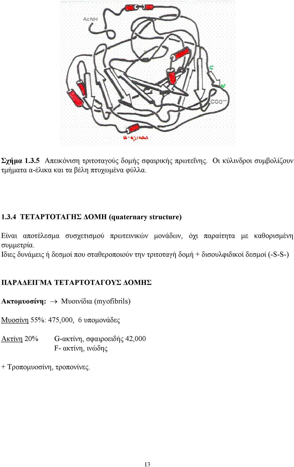 4 ΤΕΤΑΡΤΟΤΑΓΗΣ ΟΜΗ (quaternary structure) Είναι αποτέλεσµα συσχετισµού πρωτεινικών µονάδων, όχι παραίτητα µε καθορισµένη συµµετρία.