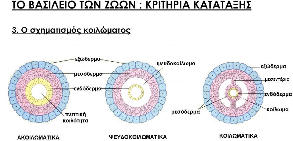 ΚΑΤΑΤΑΞΗΣ 3.