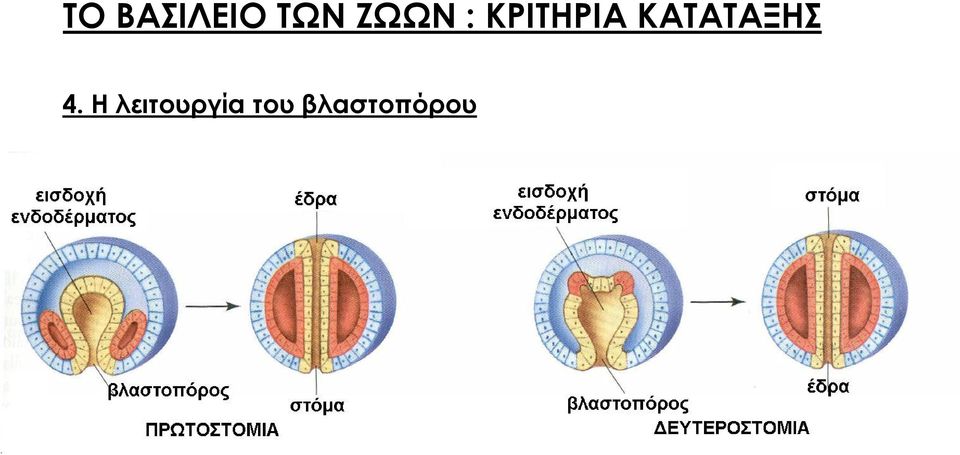 ΚΑΤΑΤΑΞΗΣ 4.