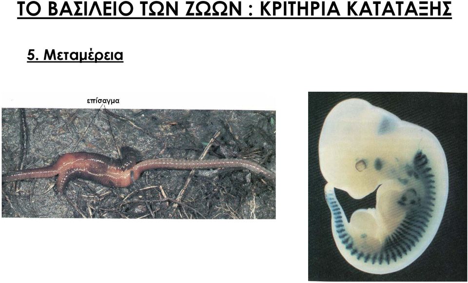 ΚΡΙΤΗΡΙΑ