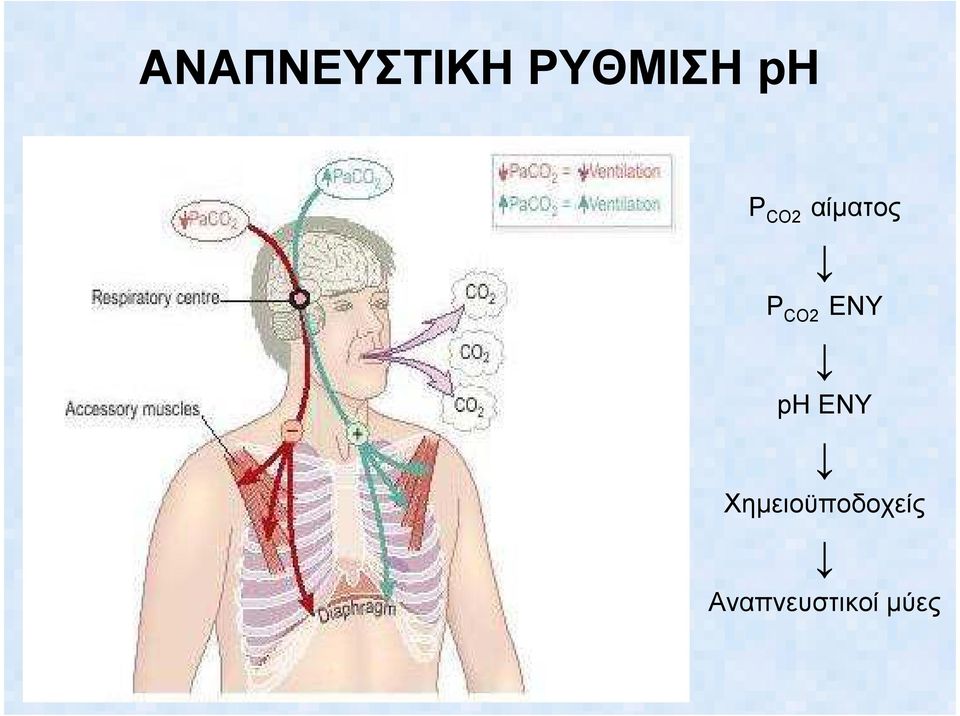 EΝΥ ph ΕΝΥ