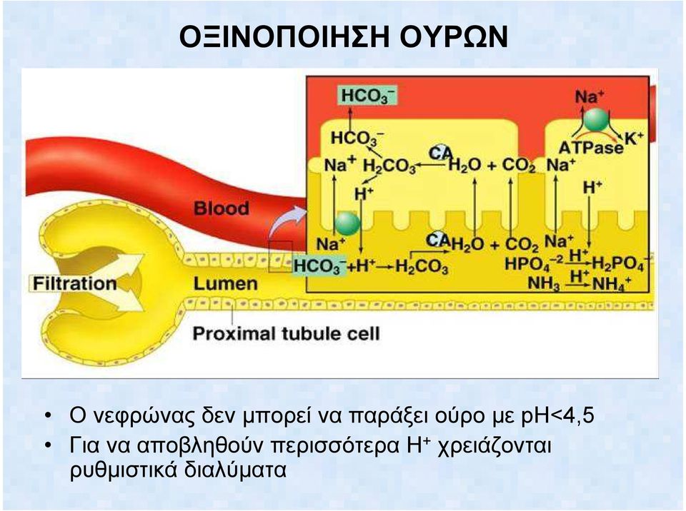 Για να αποβληθούν περισσότερα Η