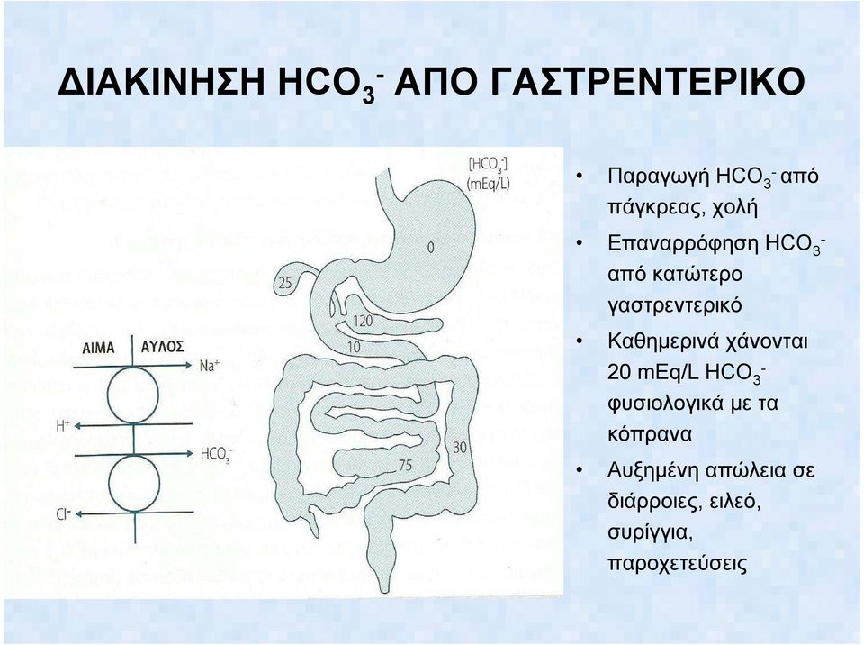 γαστρεντερικό Καθηµερινά χάνονται 20 meq/l HCO - 3