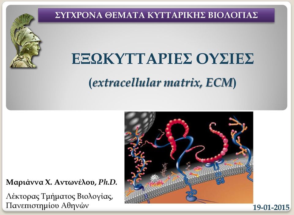 ECM) Μαριάννα Χ. Αντωνέλου, Ph.D.