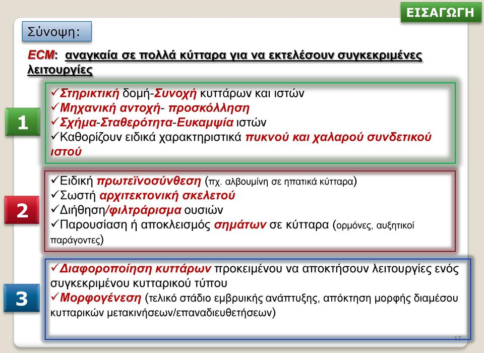 αλβουμίνη σε ηπατικά κύτταρα) Σωστή αρχιτεκτονική σκελετού Διήθηση/φιλτράρισμα ουσιών Παρουσίαση ή αποκλεισμός σημάτων σε κύτταρα (ορμόνες, αυξητικοί παράγοντες)