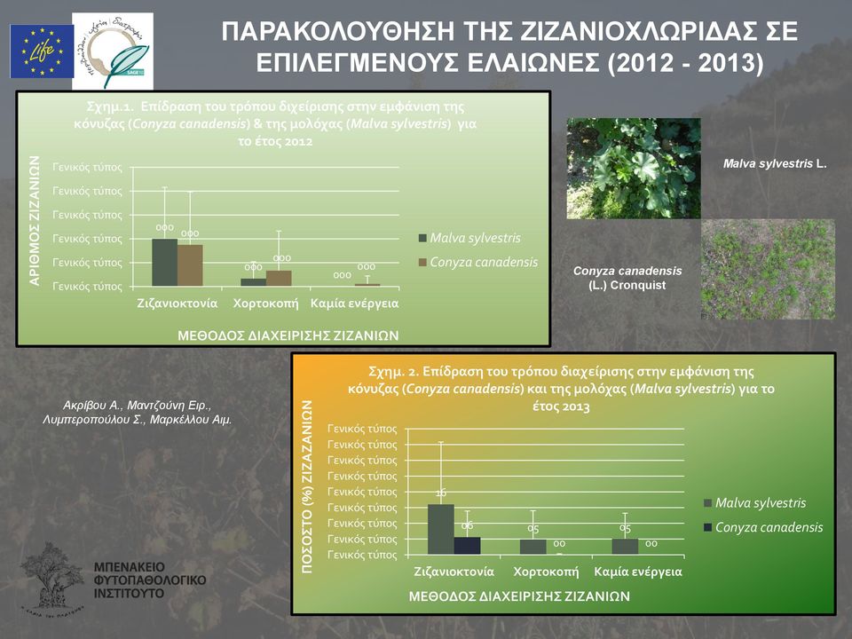 000 000 000 000 000 000 Zιζανιοκτονία Χορτοκοπή Καμία ενέργεια Malva sylvestris Conyza canadensis Conyza canadensis (L.) Cronquist ΜΕΘΟΔΟΣ ΔΙΑΧΕΙΡΙΣΗΣ ΖΙΖΑΝΙΩΝ Ακρίβου Α., Μαντζούνη Ειρ.