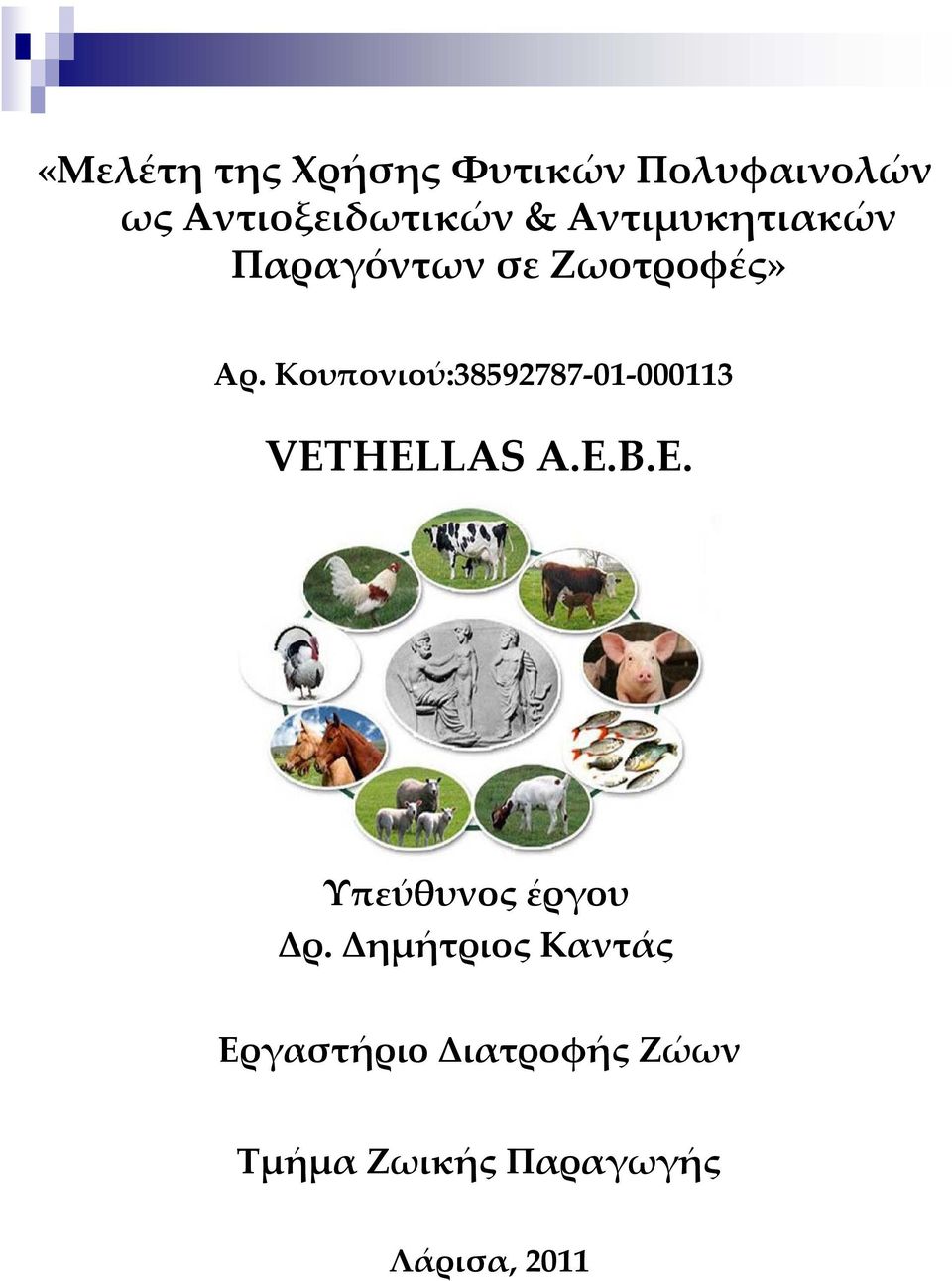 Κουπονιού:38592787 01 000113 VETHELLAS Α.Ε.Β.Ε. Υπεύθυνος έργου Δρ.