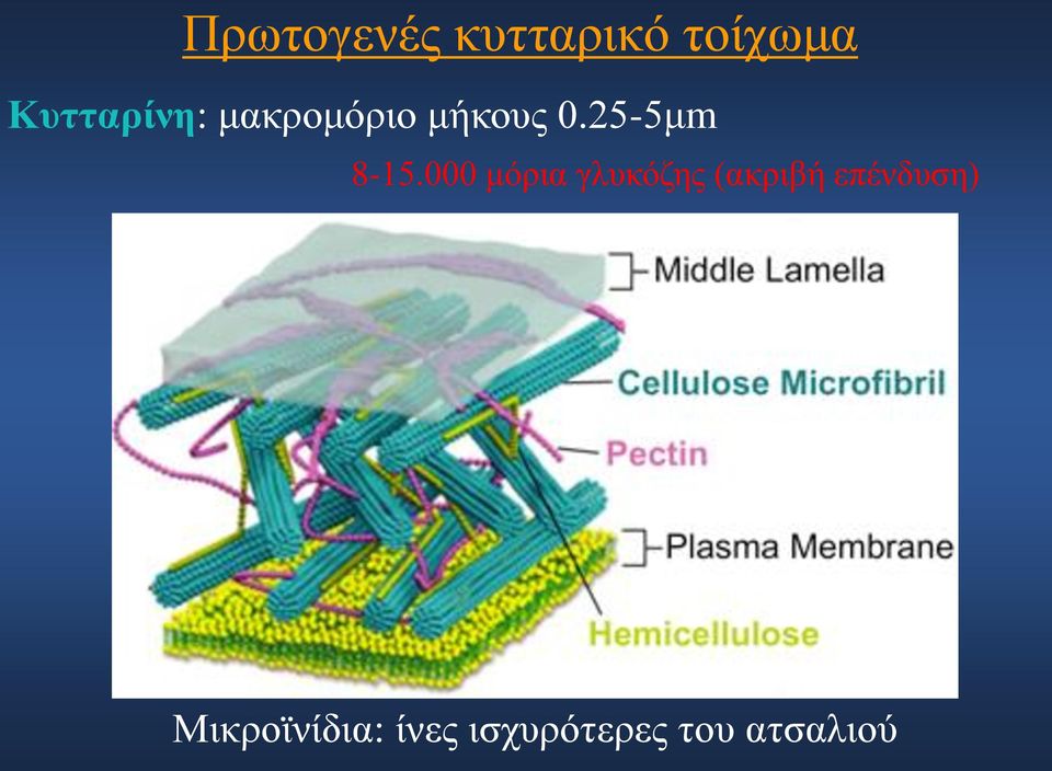 25-5μm 8-15.