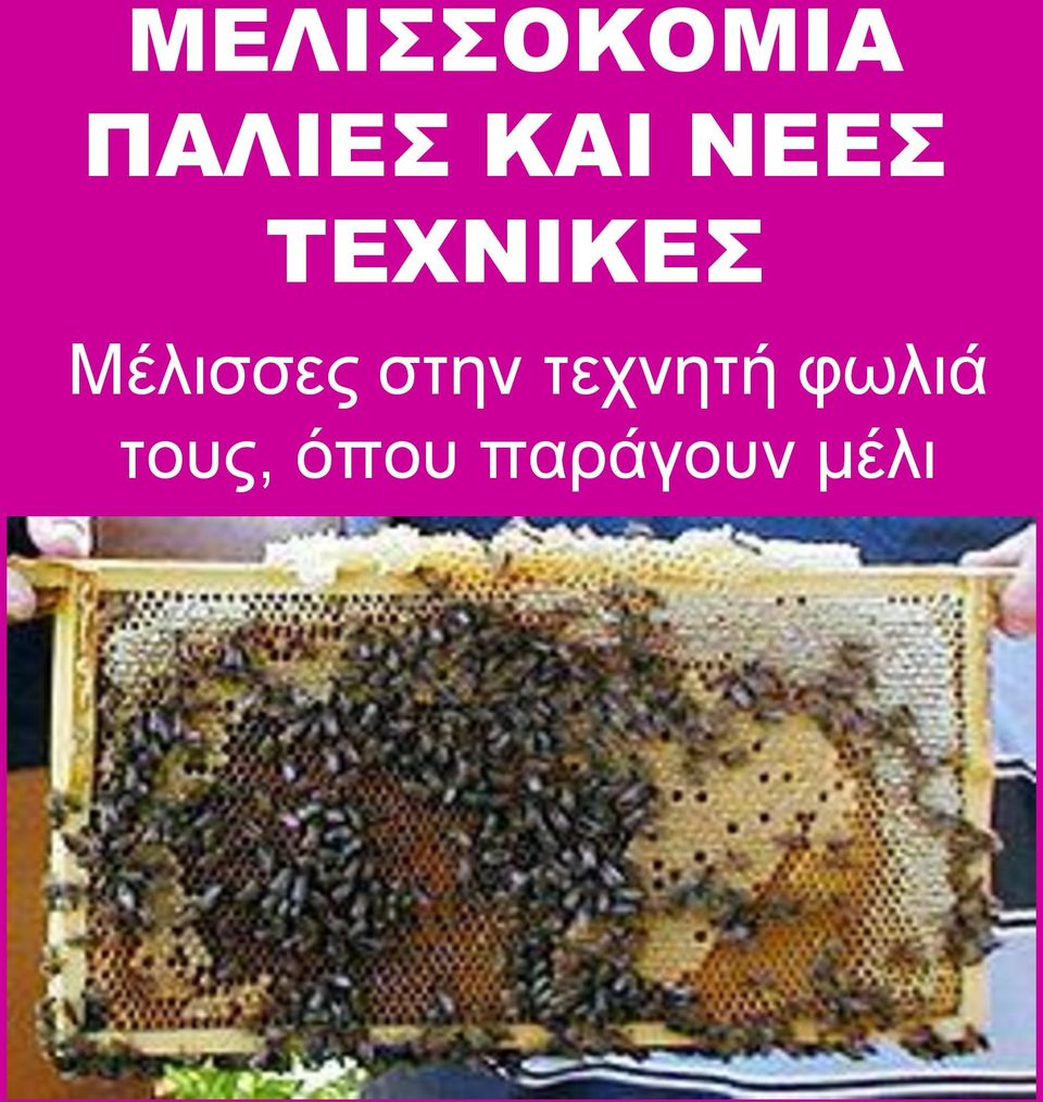 Μέλισσες στην τεχνητή