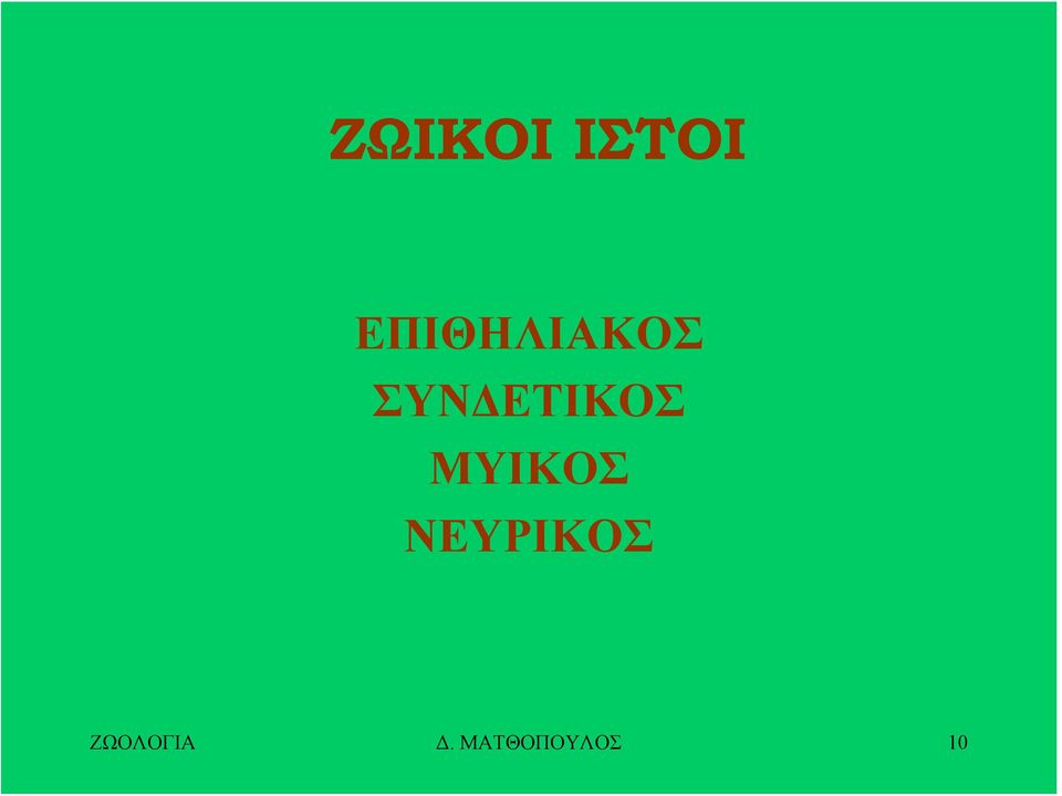 ΣΥΝΔΕΤΙΚΟΣ ΜΥΙΚΟΣ