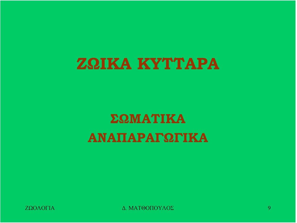 ΑΝΑΠΑΡΑΓΩΓΙΚΑ